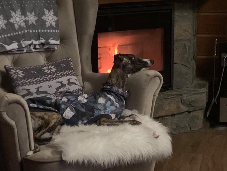 Willa Karkonoska Karpacz Bagian luar foto